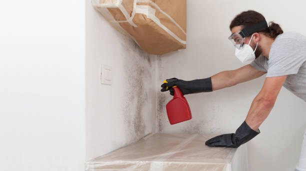 Professional Mold Remediation technician working in Topping, VA