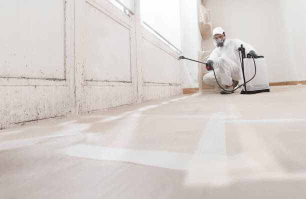24/7 Emergency Mold Remediation experts in Topping, VA